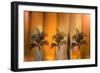 Tropicana-Andrew Michaels-Framed Photographic Print