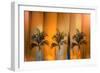 Tropicana-Andrew Michaels-Framed Photographic Print