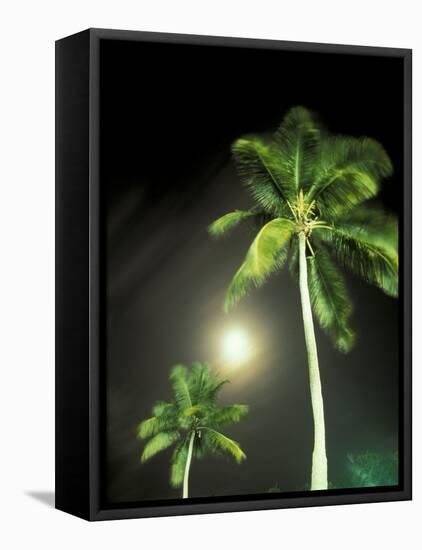 Tropics Palm Trees and Moon-Robin Hill-Framed Stretched Canvas