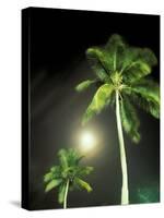 Tropics Palm Trees and Moon-Robin Hill-Stretched Canvas