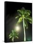 Tropics Palm Trees and Moon-Robin Hill-Framed Stretched Canvas