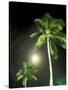 Tropics Palm Trees and Moon-Robin Hill-Stretched Canvas