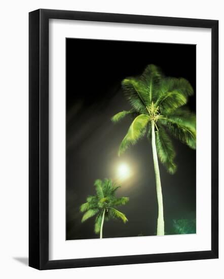 Tropics Palm Trees and Moon-Robin Hill-Framed Photographic Print