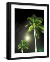 Tropics Palm Trees and Moon-Robin Hill-Framed Photographic Print