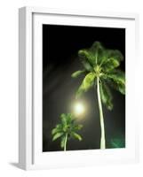 Tropics Palm Trees and Moon-Robin Hill-Framed Photographic Print