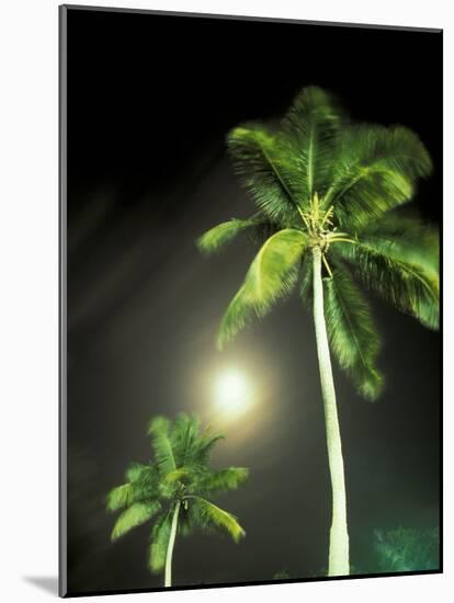 Tropics Palm Trees and Moon-Robin Hill-Mounted Photographic Print