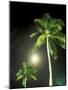 Tropics Palm Trees and Moon-Robin Hill-Mounted Photographic Print
