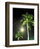 Tropics Palm Trees and Moon-Robin Hill-Framed Photographic Print