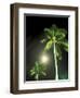 Tropics Palm Trees and Moon-Robin Hill-Framed Photographic Print