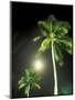 Tropics Palm Trees and Moon-Robin Hill-Mounted Photographic Print