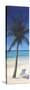 Tropics-Bill Makinson-Stretched Canvas