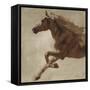 Trot-Julianne Marcoux-Framed Stretched Canvas