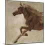 Trot-Julianne Marcoux-Mounted Art Print