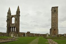 Ruin of St Andrews Cathedral in St Andrews Scotland-trotalo-Photographic Print