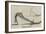 Trotman's Patent Anchor-null-Framed Giclee Print