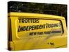 Trotters Reliant Van from Only Fools and Horses tv programme-null-Stretched Canvas