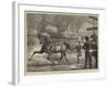 Trotting at the Islington Horse Show-Basil Bradley-Framed Giclee Print