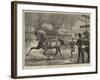 Trotting at the Islington Horse Show-Basil Bradley-Framed Giclee Print