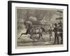 Trotting at the Islington Horse Show-Basil Bradley-Framed Giclee Print