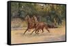 Trotting pair of Walter Winans, 1900 (c1910)-Thomas Blinks-Framed Stretched Canvas