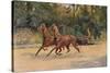 Trotting pair of Walter Winans, 1900 (c1910)-Thomas Blinks-Stretched Canvas