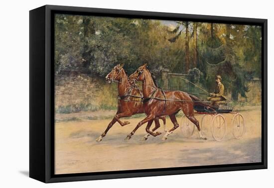 Trotting pair of Walter Winans, 1900 (c1910)-Thomas Blinks-Framed Stretched Canvas