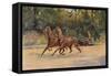 Trotting pair of Walter Winans, 1900 (c1910)-Thomas Blinks-Framed Stretched Canvas