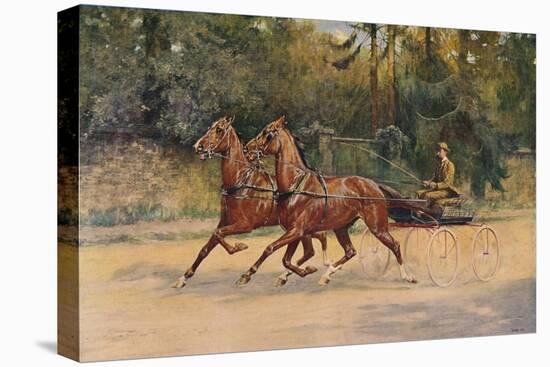 Trotting pair of Walter Winans, 1900 (c1910)-Thomas Blinks-Stretched Canvas