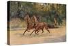 Trotting pair of Walter Winans, 1900 (c1910)-Thomas Blinks-Stretched Canvas