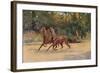 Trotting pair of Walter Winans, 1900 (c1910)-Thomas Blinks-Framed Giclee Print