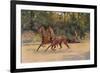 Trotting pair of Walter Winans, 1900 (c1910)-Thomas Blinks-Framed Giclee Print