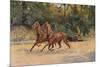 Trotting pair of Walter Winans, 1900 (c1910)-Thomas Blinks-Mounted Giclee Print