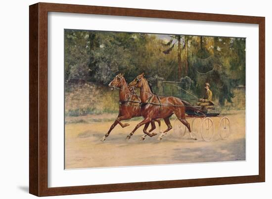 Trotting pair of Walter Winans, 1900 (c1910)-Thomas Blinks-Framed Giclee Print