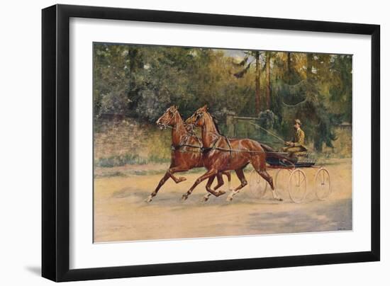 Trotting pair of Walter Winans, 1900 (c1910)-Thomas Blinks-Framed Giclee Print