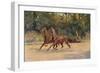 Trotting pair of Walter Winans, 1900 (c1910)-Thomas Blinks-Framed Giclee Print