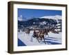 Trotting Race with Jockeys Driving Horse-Drawn Sleighs on the Frozen Lake at St Moritz-John Warburton-lee-Framed Photographic Print