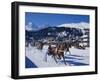 Trotting Race with Jockeys Driving Horse-Drawn Sleighs on the Frozen Lake at St Moritz-John Warburton-lee-Framed Photographic Print