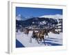 Trotting Race with Jockeys Driving Horse-Drawn Sleighs on the Frozen Lake at St Moritz-John Warburton-lee-Framed Photographic Print