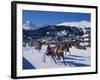 Trotting Race with Jockeys Driving Horse-Drawn Sleighs on the Frozen Lake at St Moritz-John Warburton-lee-Framed Photographic Print