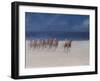 Trotting Races, Brittany, 2012-Lincoln Seligman-Framed Giclee Print