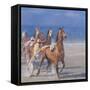 Trotting Races, Lancieux, Brittany, 2014-Lincoln Seligman-Framed Stretched Canvas