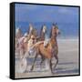 Trotting Races, Lancieux, Brittany, 2014-Lincoln Seligman-Framed Stretched Canvas