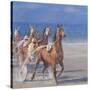 Trotting Races, Lancieux, Brittany, 2014-Lincoln Seligman-Stretched Canvas