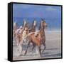 Trotting Races, Lancieux, Brittany, 2014-Lincoln Seligman-Framed Stretched Canvas