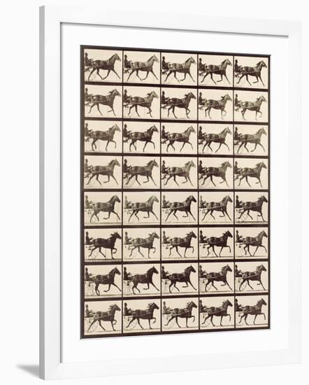 Trotting Sulky-Eadweard Muybridge-Framed Giclee Print