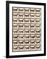 Trotting Sulky-Eadweard Muybridge-Framed Giclee Print