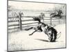 Troublemaker; The Gallant-C.W. Anderson-Mounted Art Print