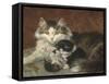 Troublesome Twins-Henriette Ronner Knip-Framed Stretched Canvas