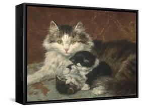 Troublesome Twins-Henriette Ronner Knip-Framed Stretched Canvas