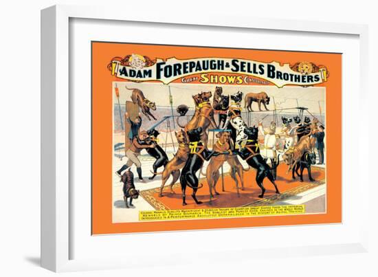 Troupe of Champion Great Danes: Adam Forepaugh and Sells Brothers-null-Framed Art Print